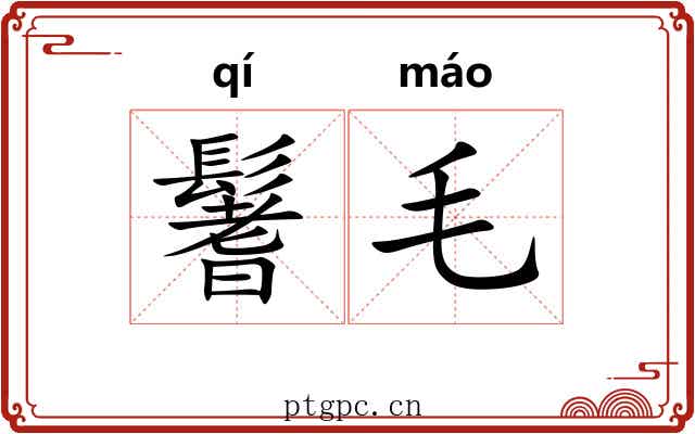 鬐毛
