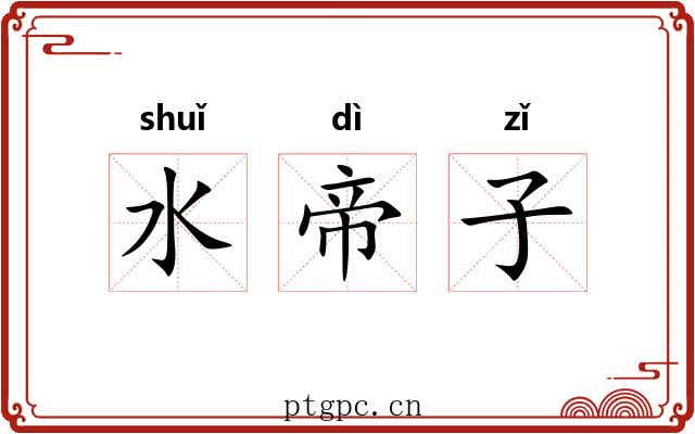 水帝子 水帝子