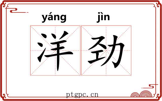 洋劲