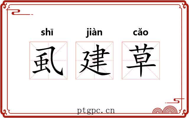 虱建草 虱建草