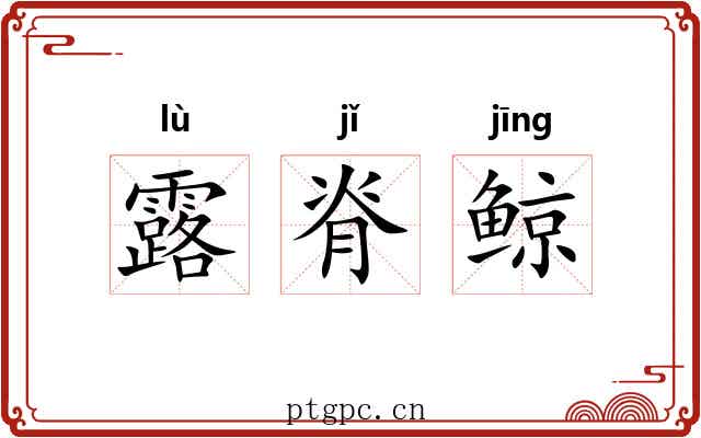 露脊鲸 露脊鲸