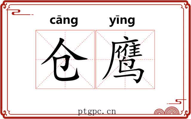仓鹰