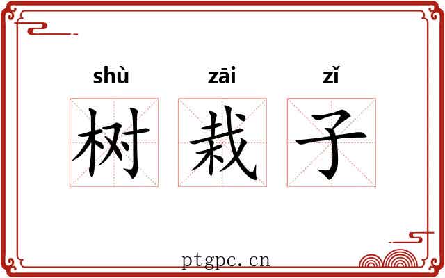 树栽子