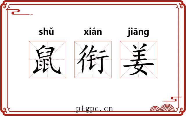 鼠衔姜 鼠衔姜