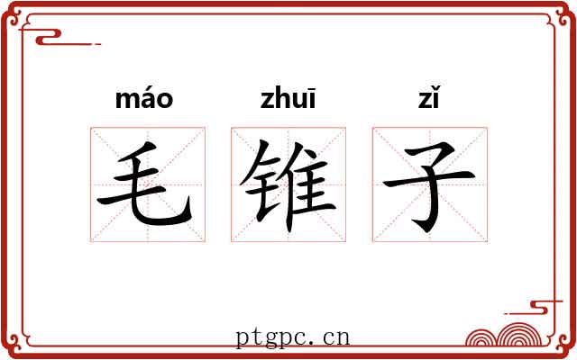 毛锥子 毛锥子