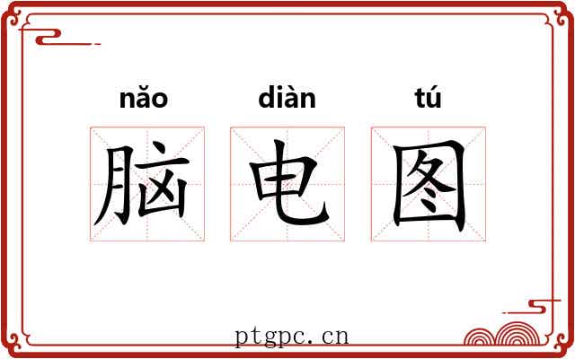 脑电图