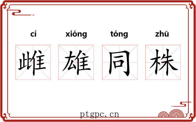雌雄同株