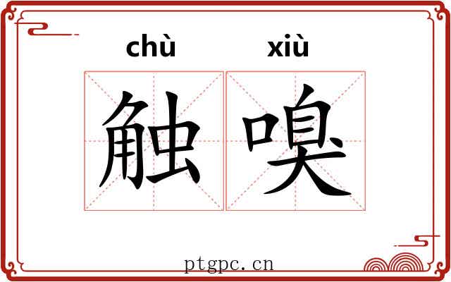 触嗅