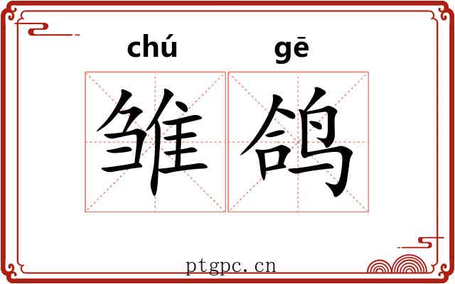 雏鸽