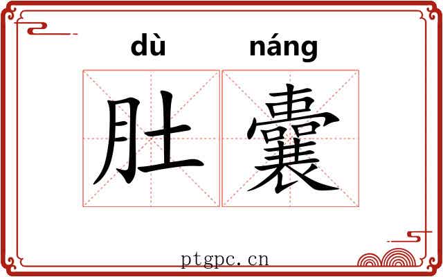肚囊