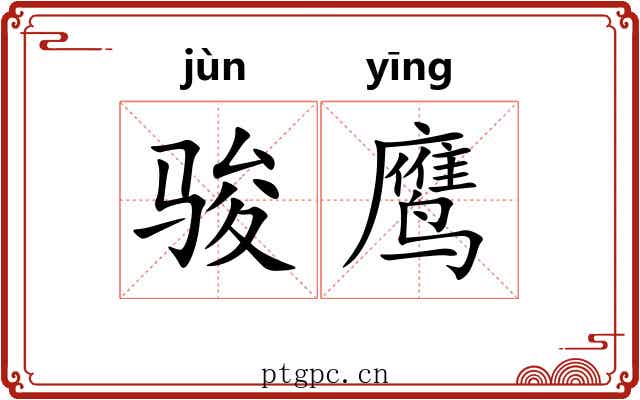 骏鹰