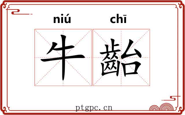 牛齝