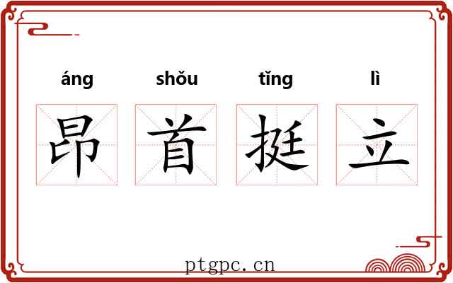 昂首挺立 昂首挺立