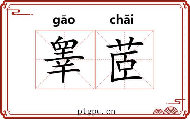 睾茝