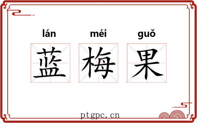 蓝梅果 蓝梅果