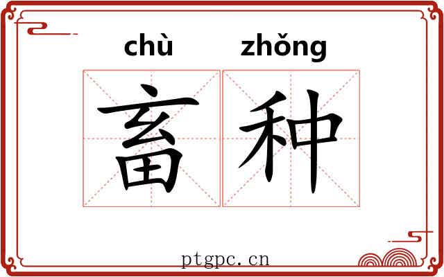 畜种 畜种