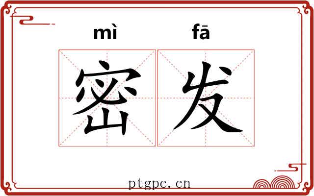 密发 密发