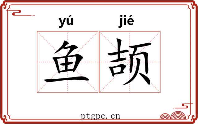 鱼颉