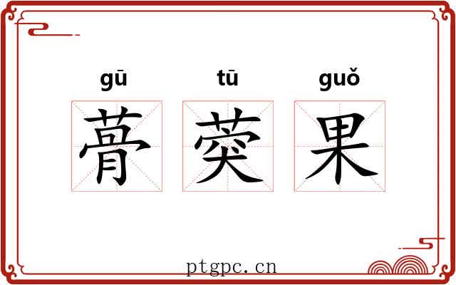 蓇葖果