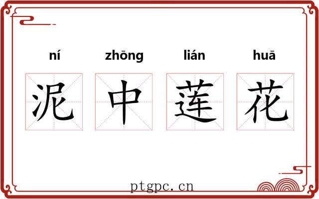 泥中莲花 泥中莲花