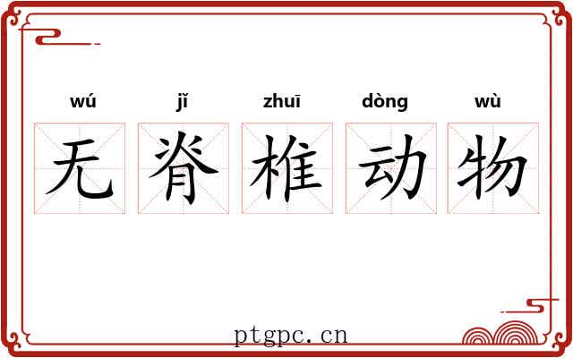 无脊椎动物 无脊椎动物