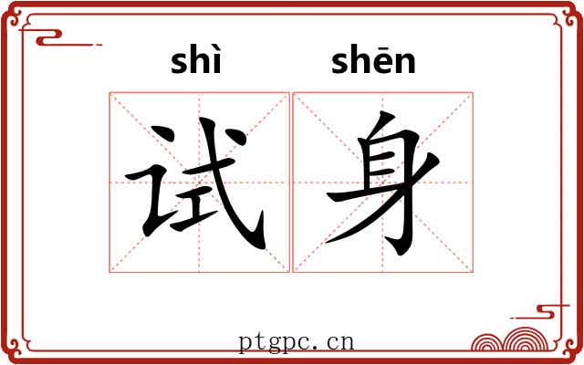 试身