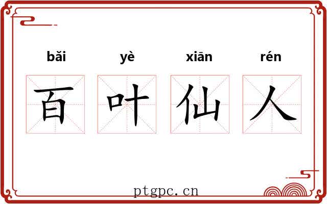 百叶仙人 百叶仙人