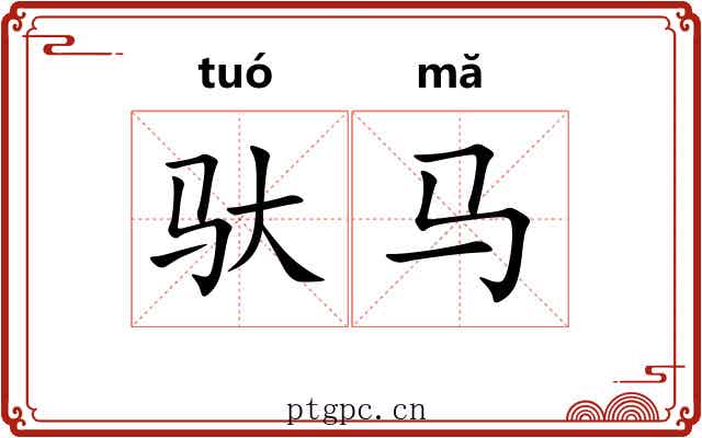 驮马