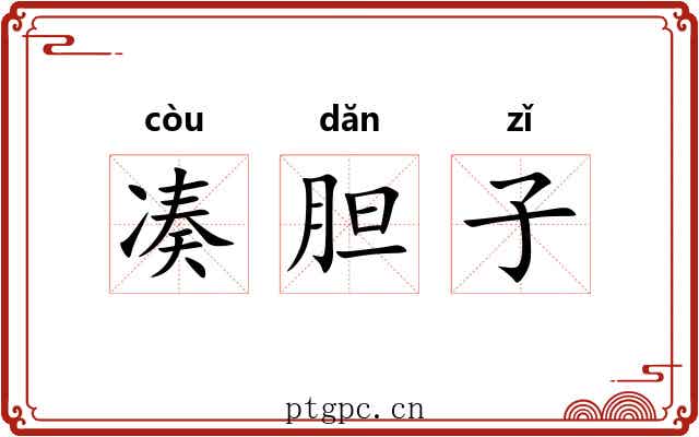 凑胆子 凑胆子
