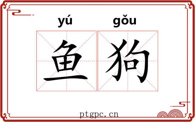 鱼狗