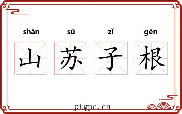 山苏子根 山苏子根