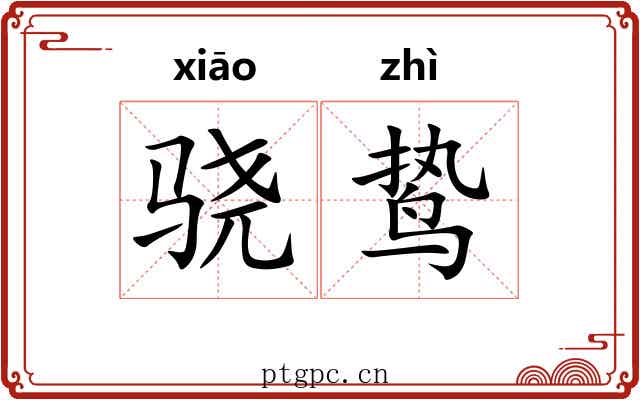 骁鸷