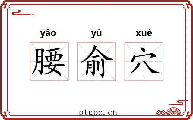 腰俞穴 腰俞穴