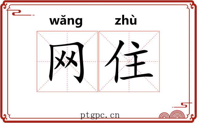 网住 网住