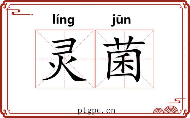灵菌
