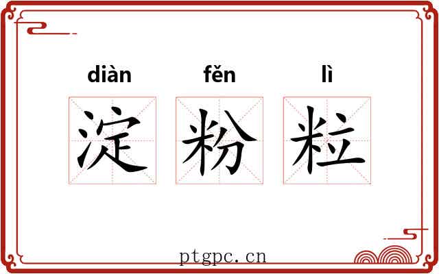 淀粉粒 淀粉粒