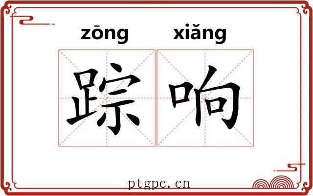 踪响