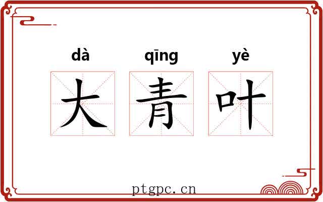 大青叶 大青叶
