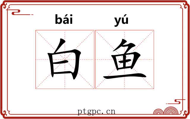 白鱼 白鱼