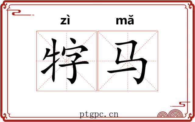 牸马