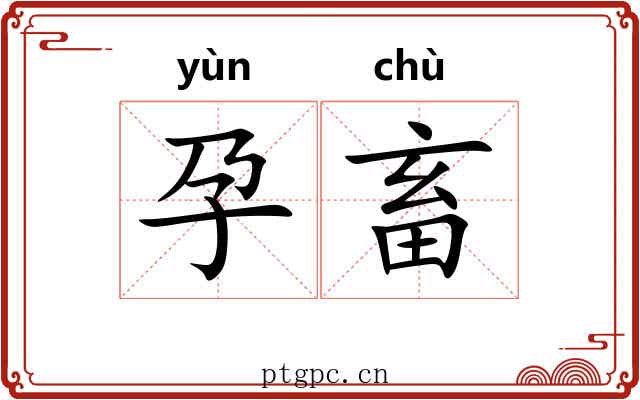 孕畜