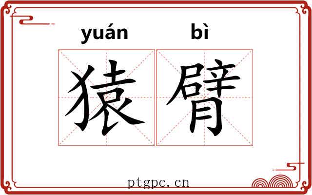 猿臂