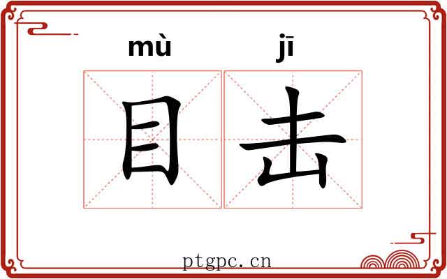 目击 目击
