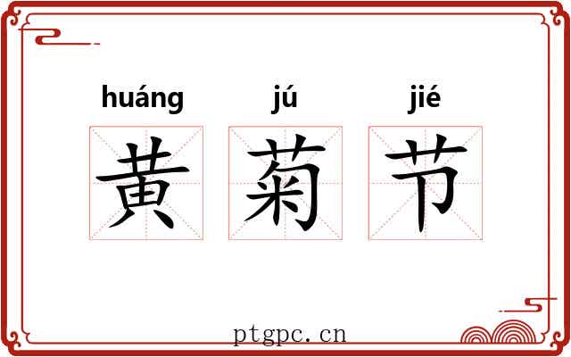 黄菊节