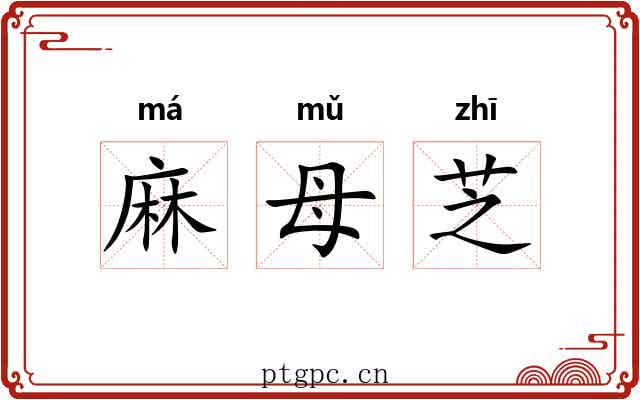 麻母芝 麻母芝