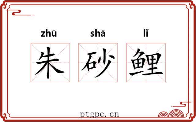 朱砂鲤 朱砂鲤