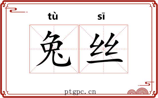 兔丝 兔丝