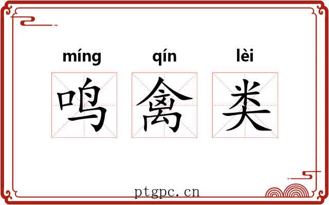 鸣禽类