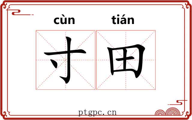 寸田