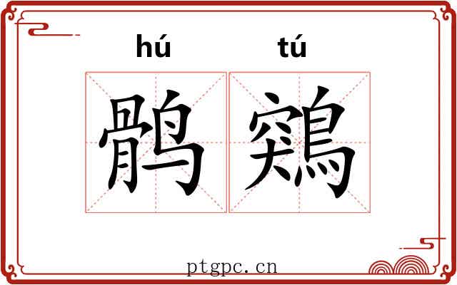 鹘鶟
